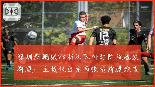 深圳新鹏城vs浙江队补时阶段爆发群殴，主裁仅出示两张黄牌遭炮轰