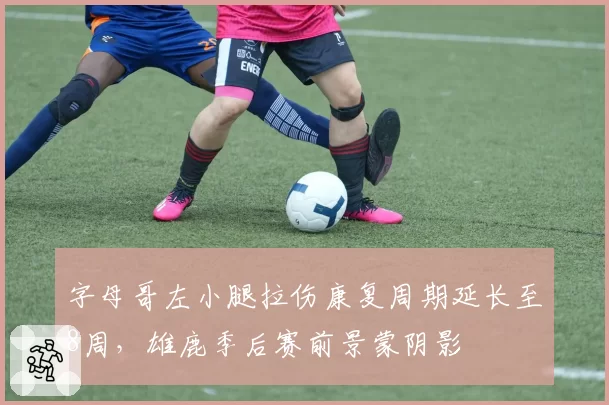 字母哥左小腿拉伤康复周期延长至8周，雄鹿季后赛前景蒙阴影