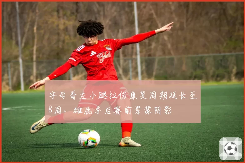 字母哥左小腿拉伤康复周期延长至8周，雄鹿季后赛前景蒙阴影