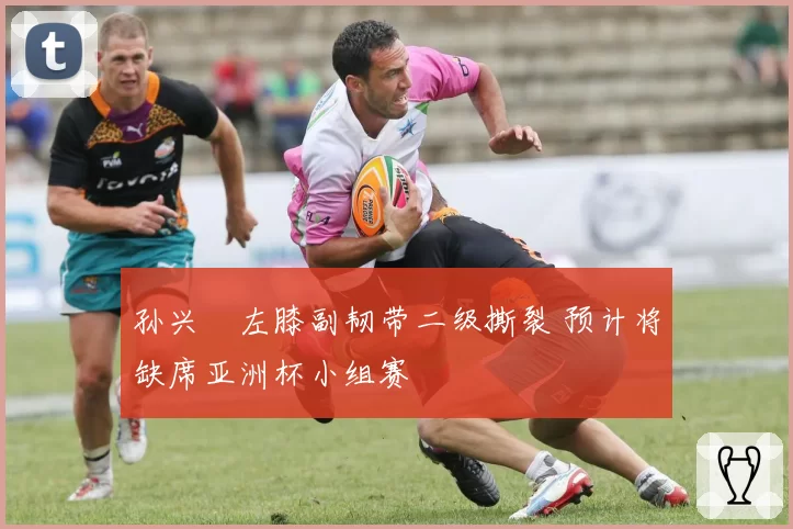 孙兴慜左膝副韧带二级撕裂 预计将缺席亚洲杯小组赛